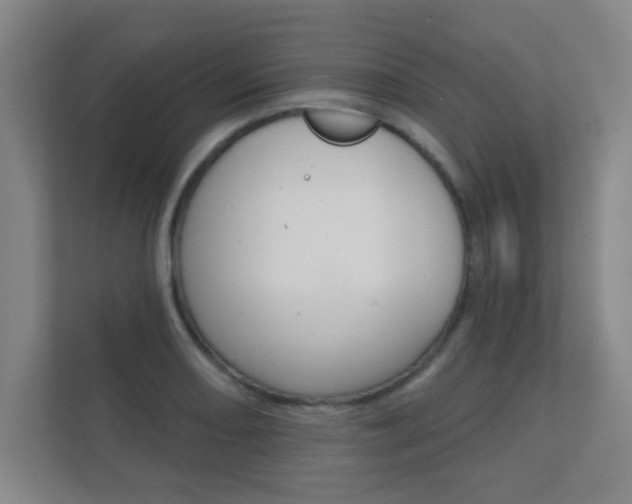 X0000112361082200908131229