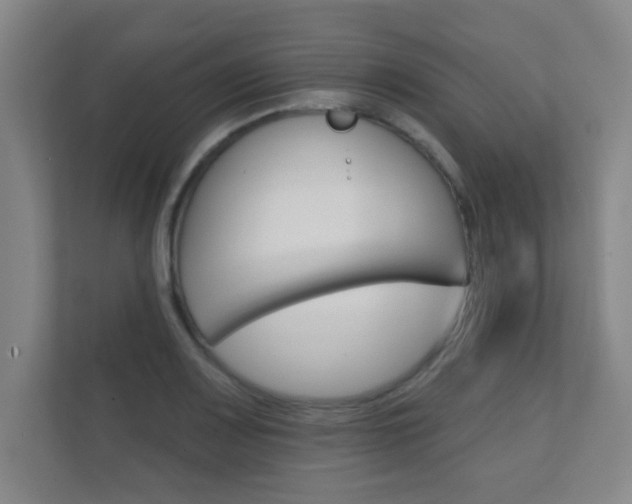 X0000112361083200908131229