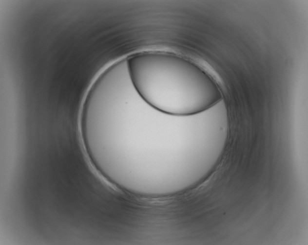 X0000112361084200908131229
