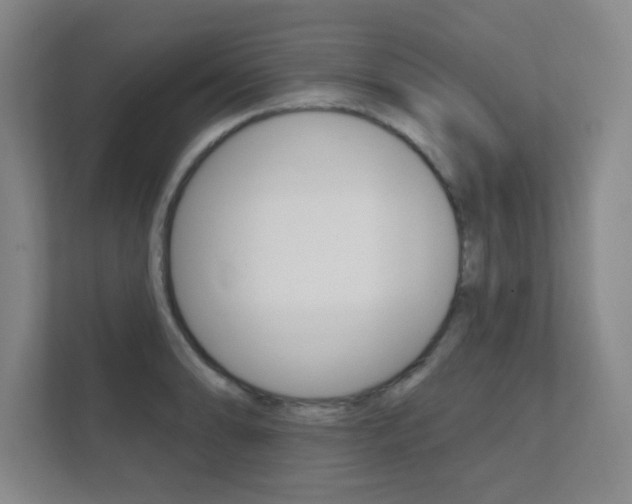 X0000112361086200908131229