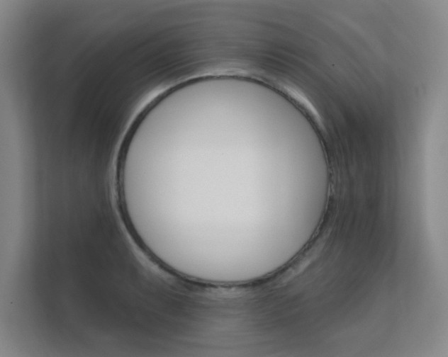 X0000112361087200908131229