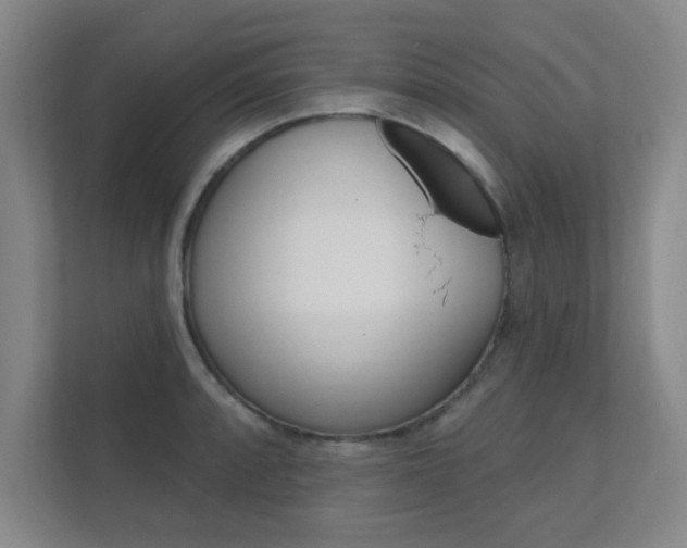 X0000112361088200908131229