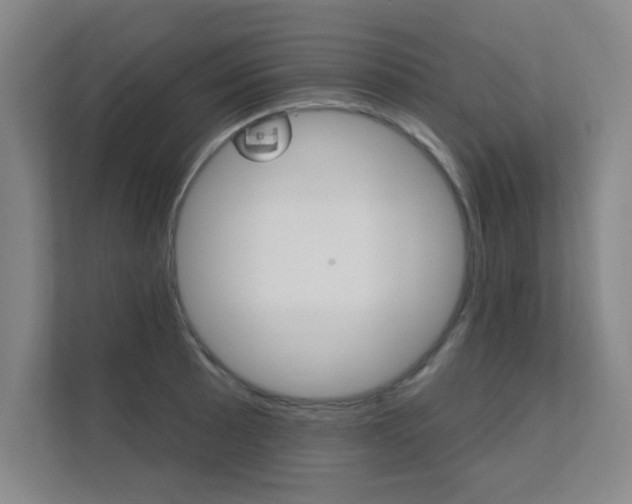 X0000112361089200908131229