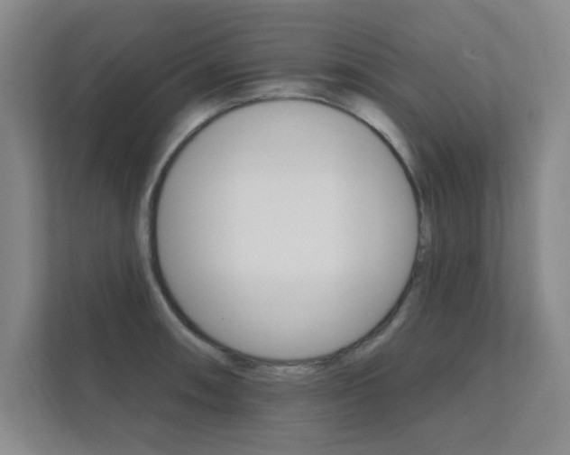 X0000112361090200908131229