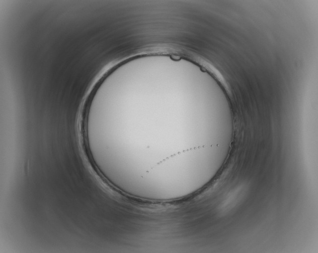 X0000112361091200908131229