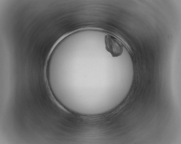 X0000112361092200908131229