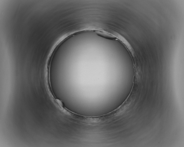 X0000112361096200908131229
