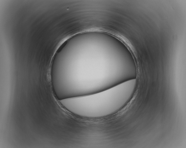 X0000112361097200908131229