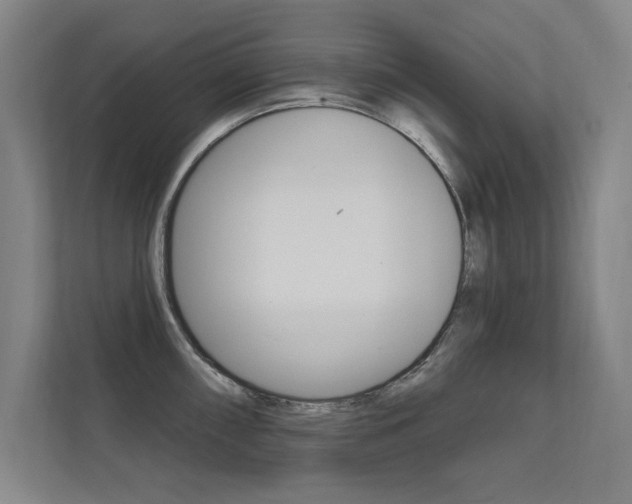X0000112361098200908131229
