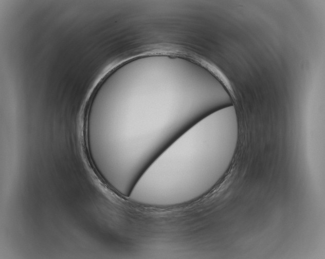 X0000112361099200908131229