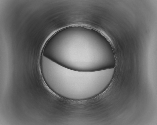 X0000112361100200908131229