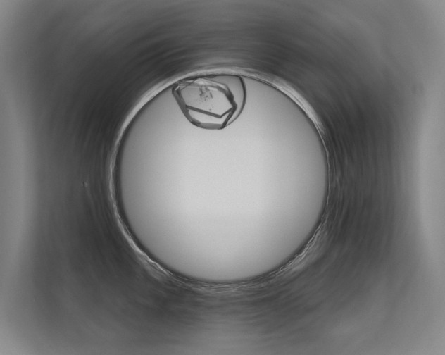 X0000112361101200908131229