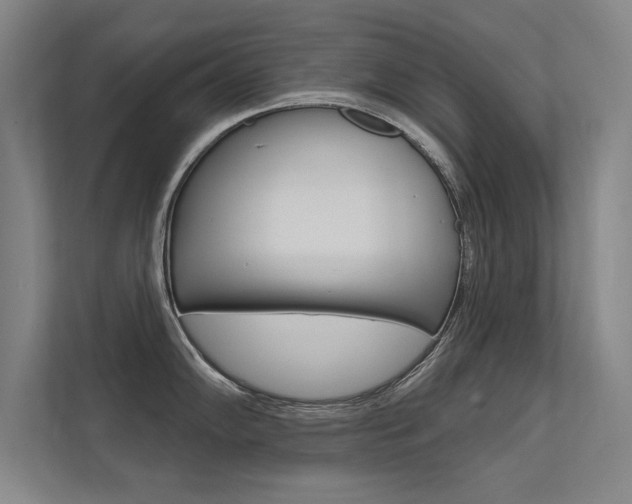 X0000112361102200908131229