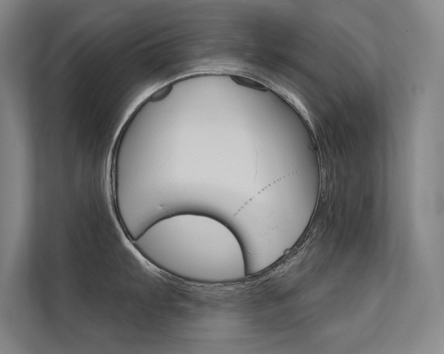 X0000112361103200908131229