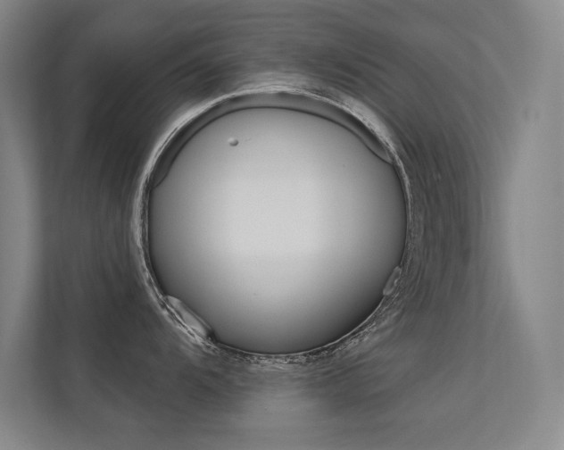 X0000112361104200908131229