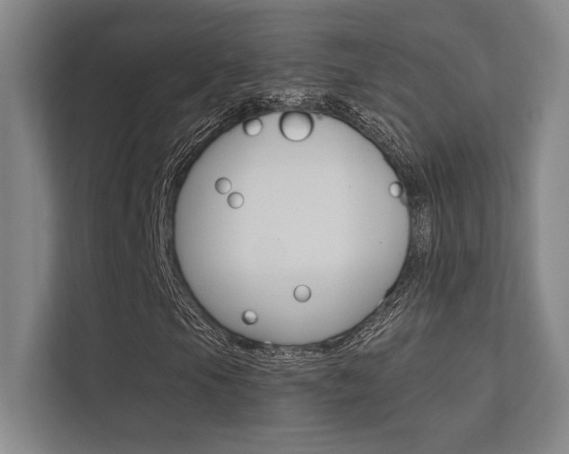 X0000112361105200908131229