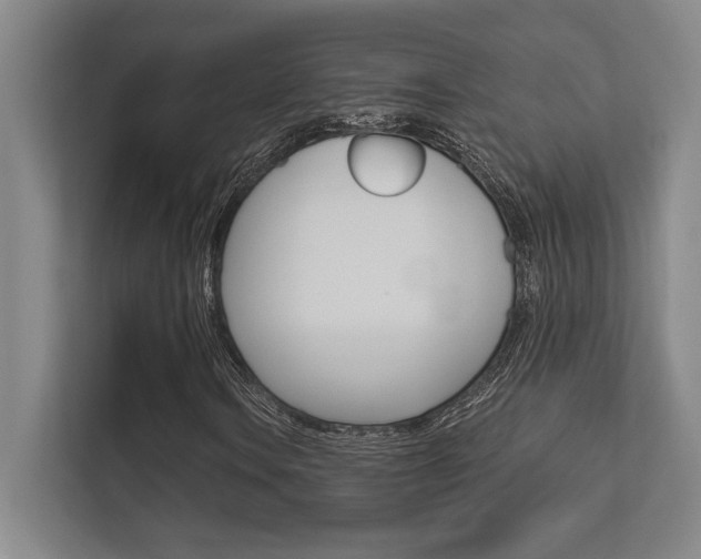X0000112361106200908131229