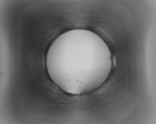 X0000112361107200908131229
