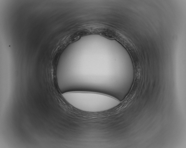 X0000112361108200908131229