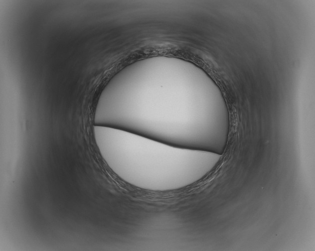 X0000112361109200908131229