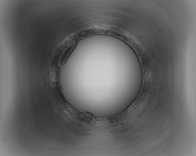 X0000112361110200908131229
