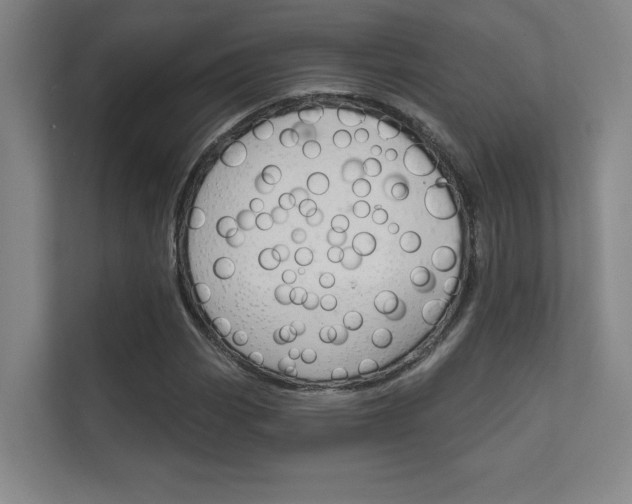 X0000112361113200908131229
