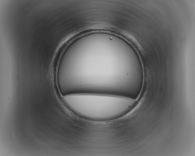X0000112361114200908131229