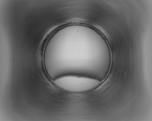 X0000112361115200908131229