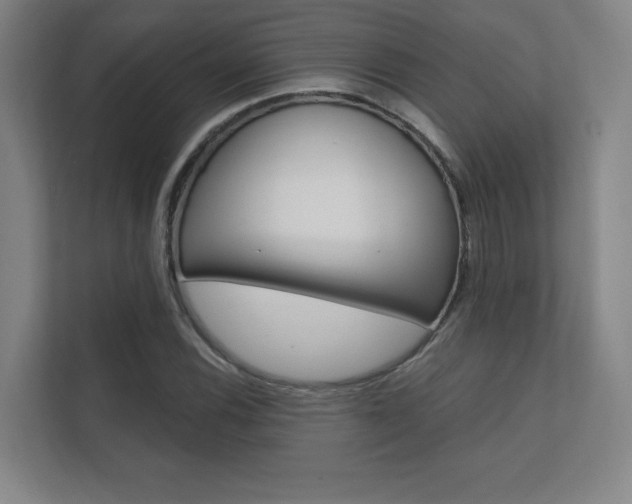 X0000112361116200908131229