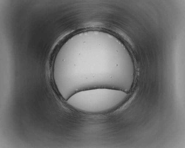 X0000112361117200908131229