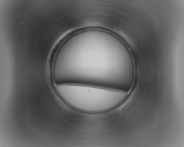 X0000112361118200908131229