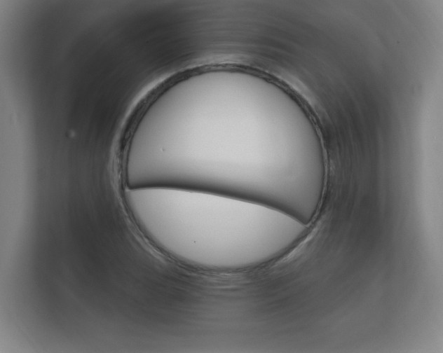 X0000112361119200908131229