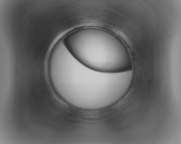 X0000112361120200908131229