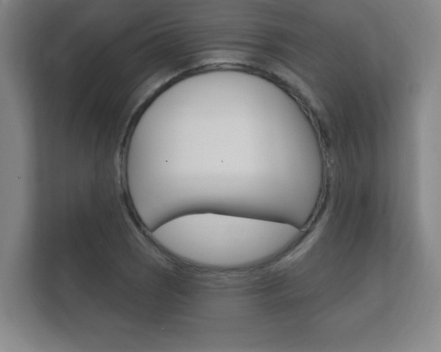 X0000112361121200908131229