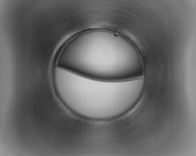 X0000112361122200908131229