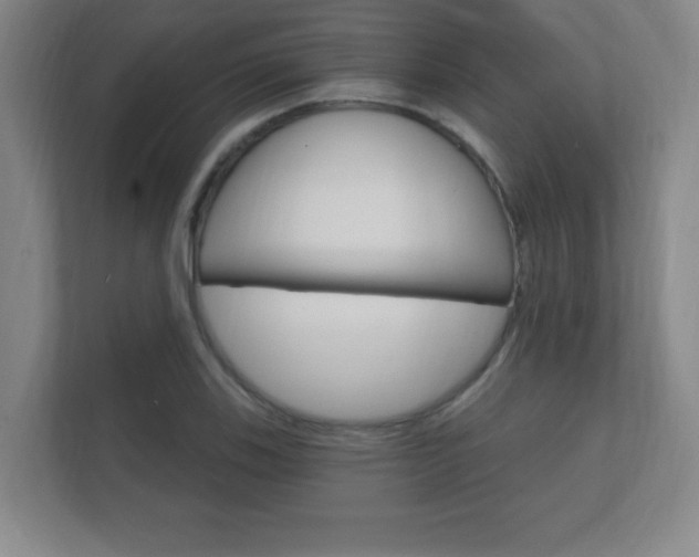 X0000112361123200908131229