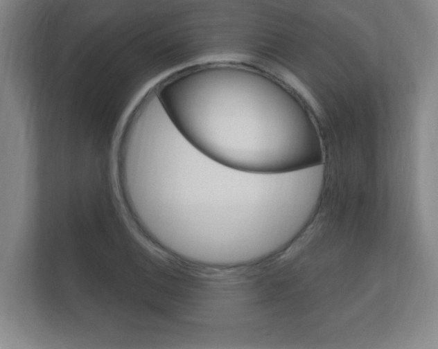 X0000112361124200908131229