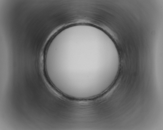 X0000112361126200908131229