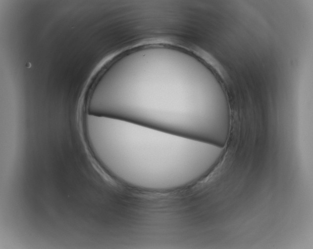 X0000112361127200908131229