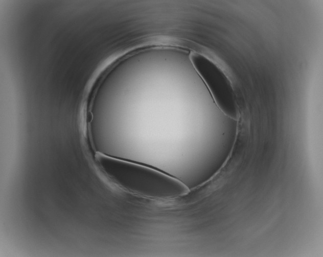 X0000112361128200908131229