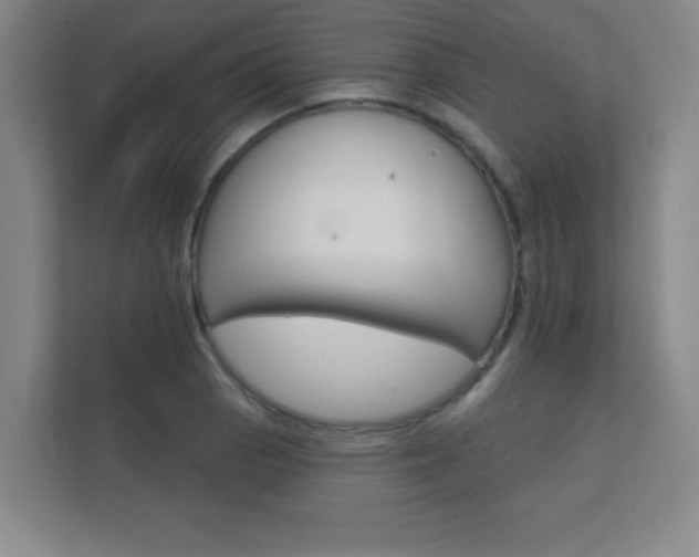 X0000112361129200908131229