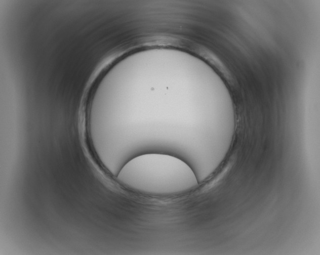 X0000112361130200908131229