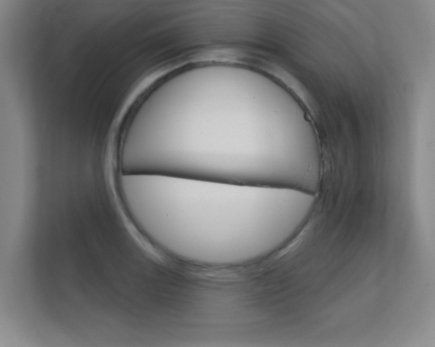 X0000112361131200908131229