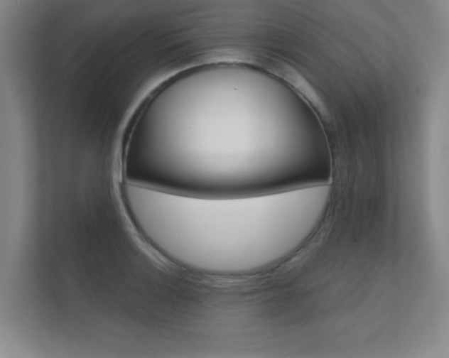 X0000112361132200908131229