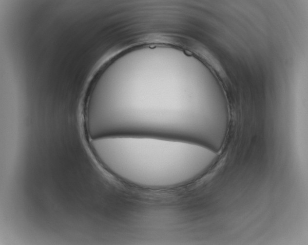 X0000112361133200908131229
