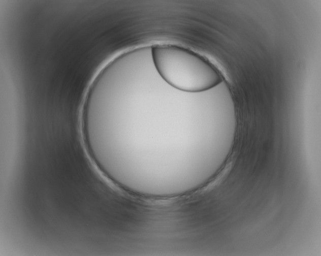 X0000112361134200908131229