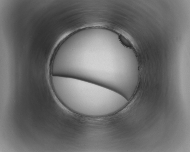 X0000112361135200908131229