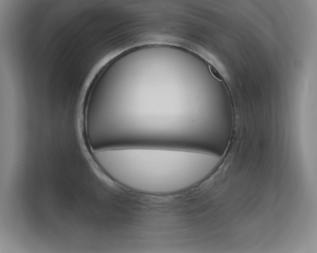 X0000112361136200908131229