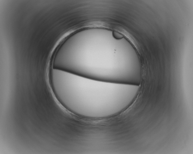 X0000112361139200908131229