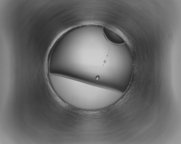 X0000112361140200908131229